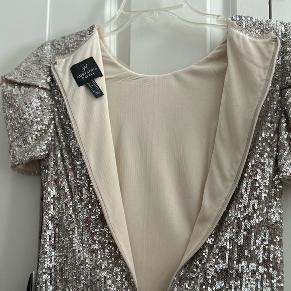 ADRIANNA PAPELL SEQUIN SILVER EVENING SHEATH DRESS SIZE 10P - Picture 6 of 10